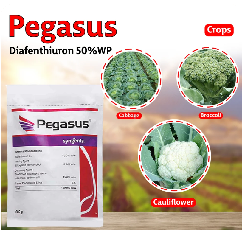 Pegasus Insecticide
