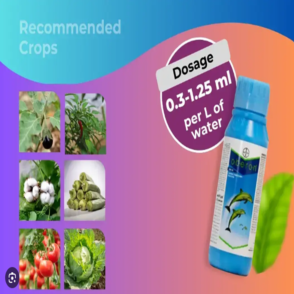 OBERON Insecticide