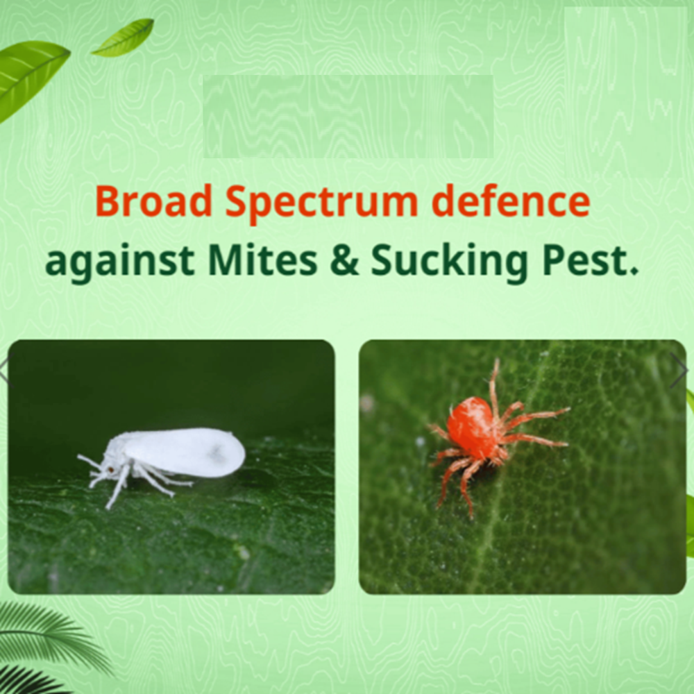OBERON Insecticide