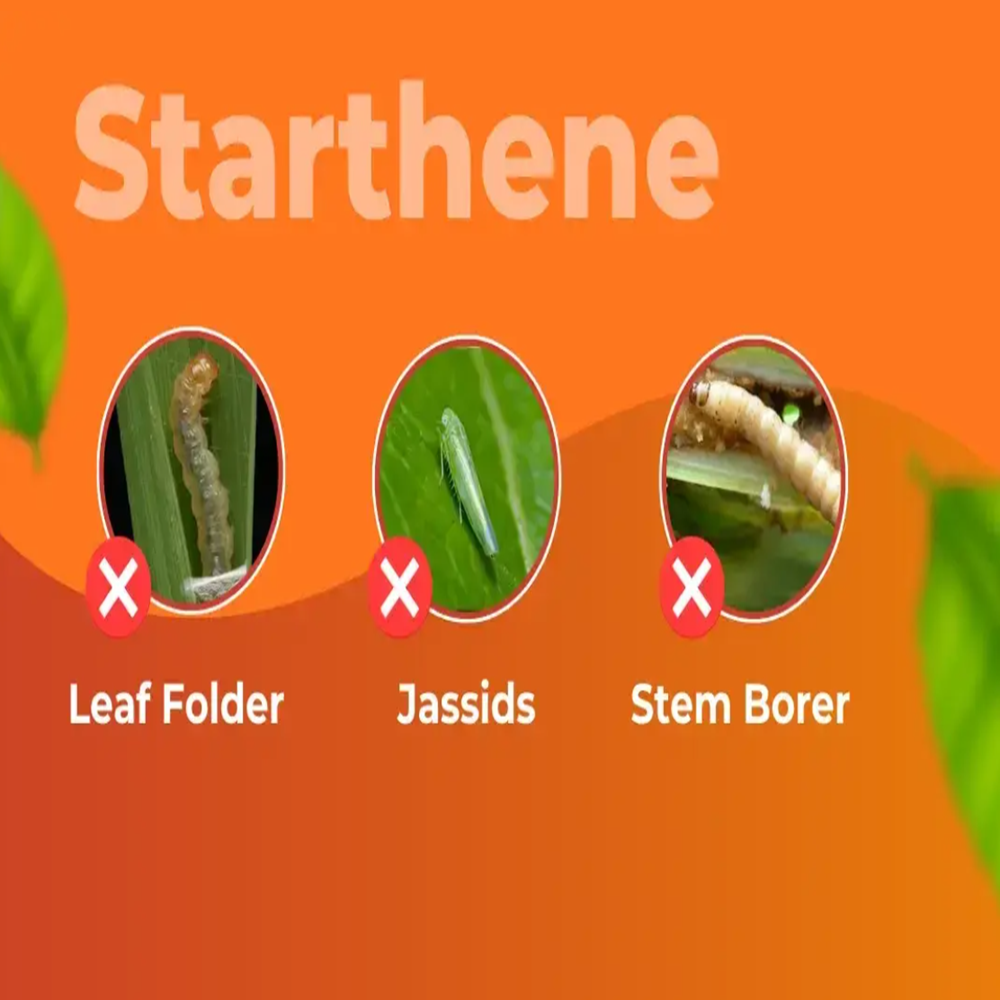 Starthene Insecticide