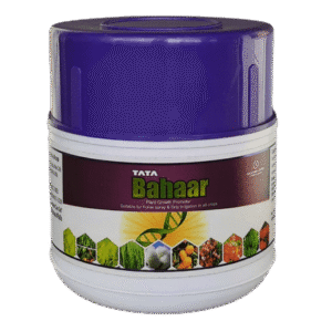 Buy TATA Bahaar (PGR) Online - Agritell.com