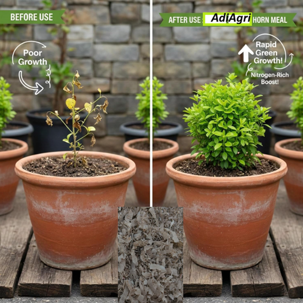 HornDust Fertilizer For Plants