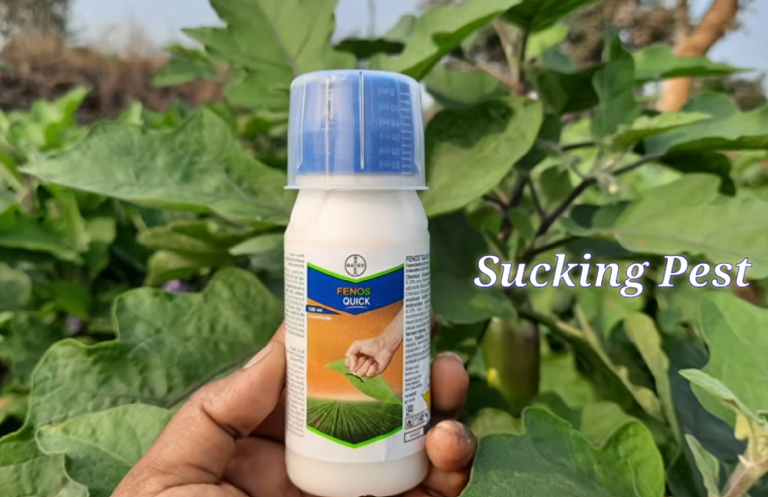 Fenos Quick Insecticide
